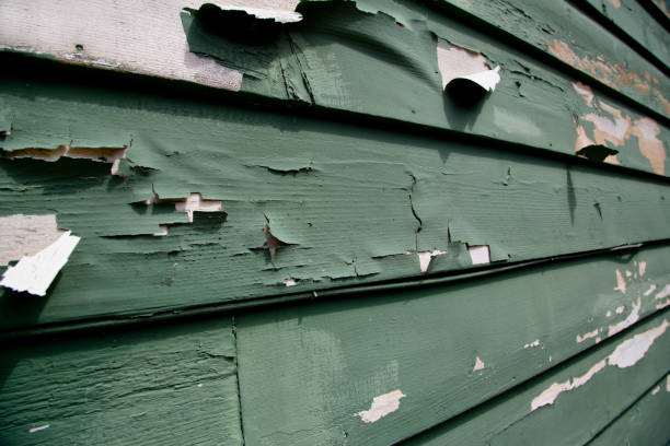 Professional Siding Installation & Repair in Dallas, NC